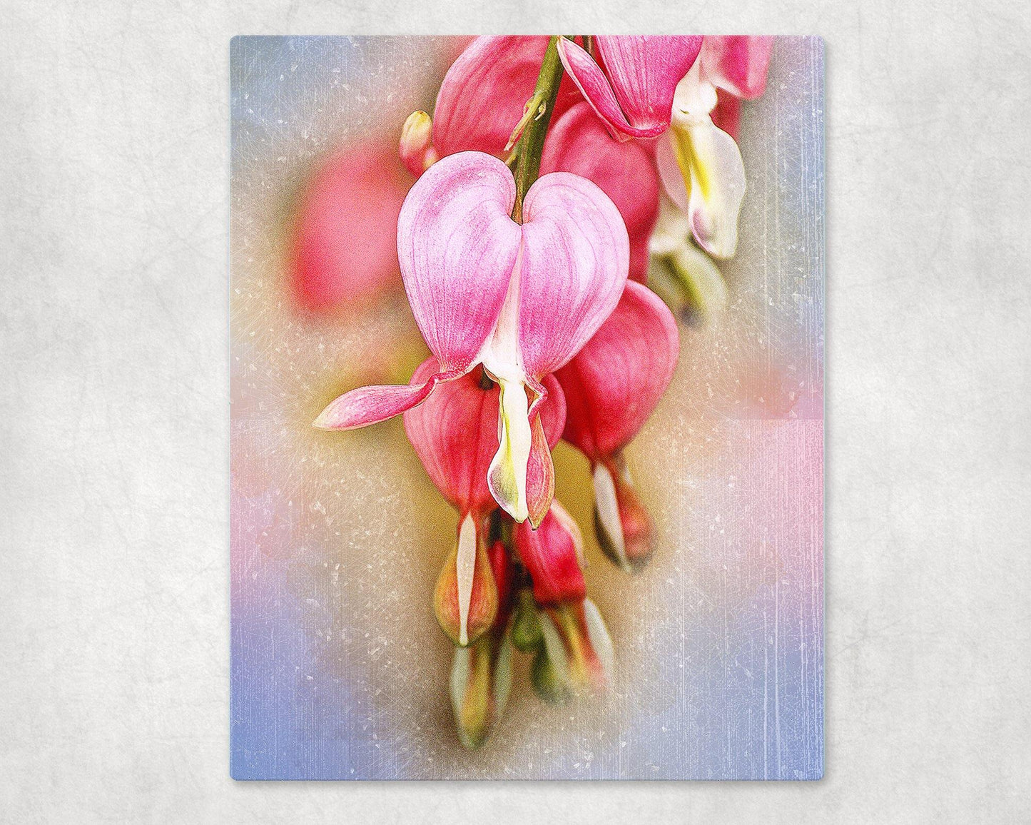 Bleeding Hearts Metal Photo Panel - 8x10 - Schoppix Gifts