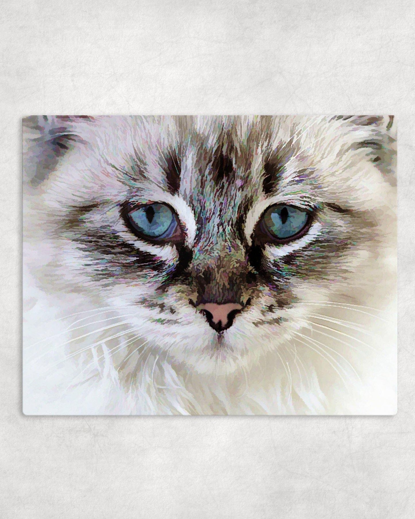 Blue Eyed Cat Metal Photo Panel - 8x10 - Schoppix Gifts