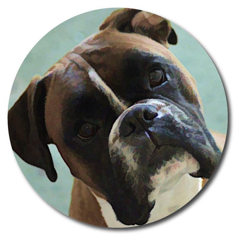 Boxer Art Drink Coasters - Schoppix Gifts