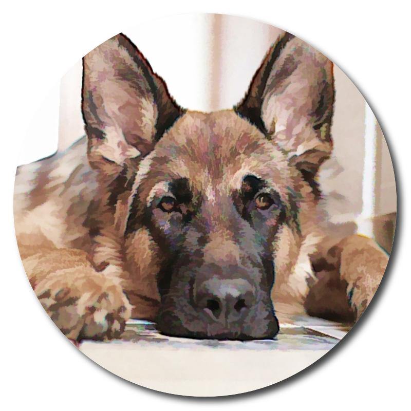 German Shepherd Art Drink Coasters - Schoppix Gifts