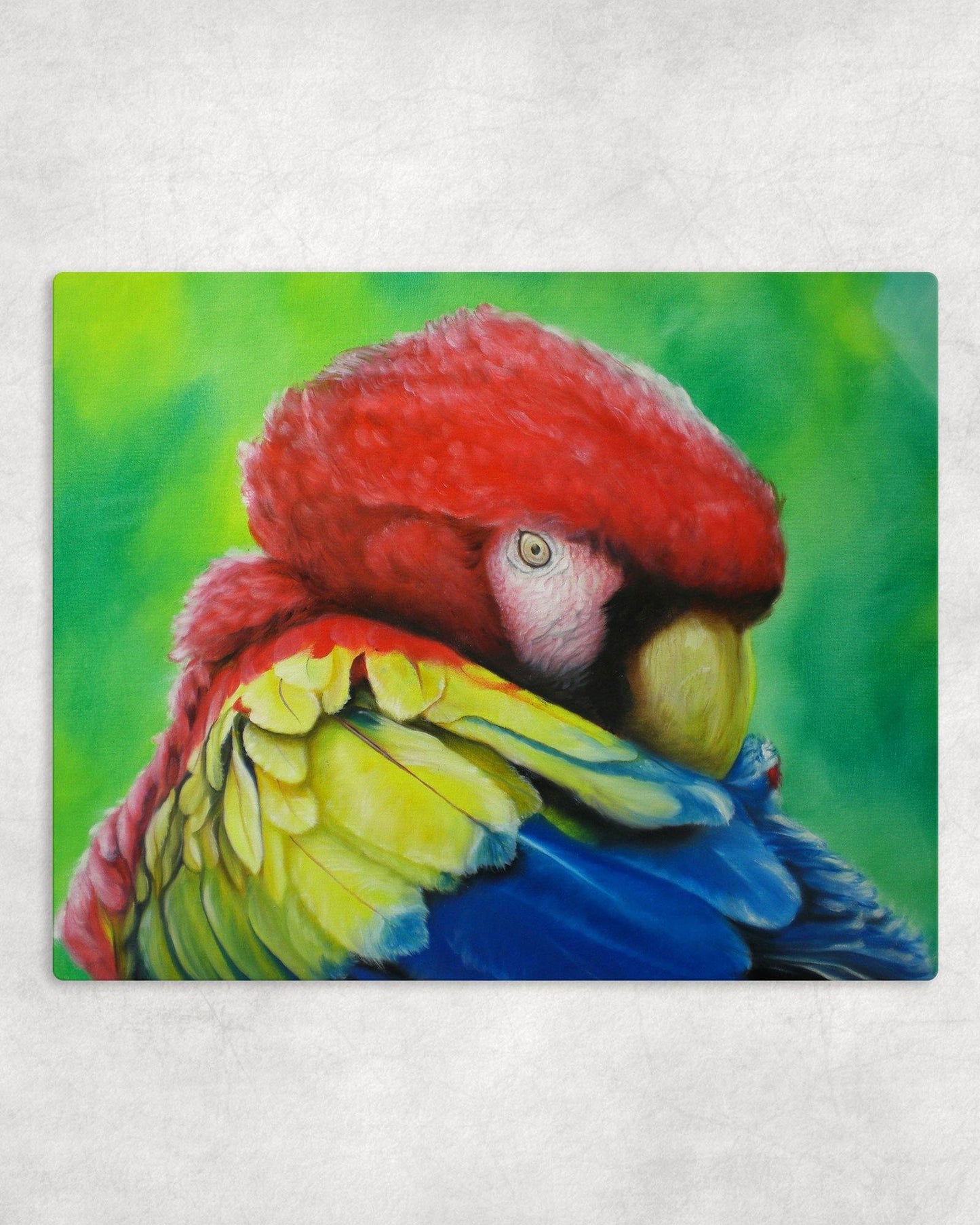 Macaw Portrait Metal Photo Panel - 8x10 - Schoppix Gifts