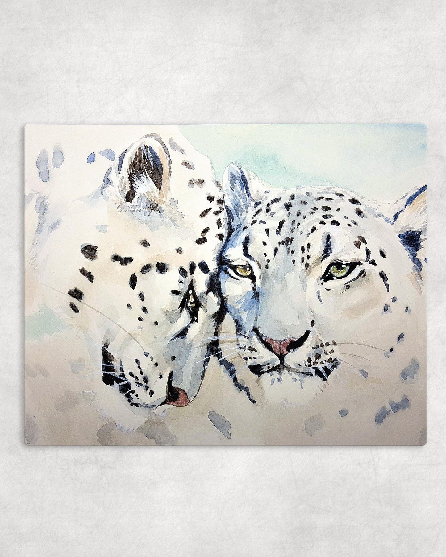 Snow Leopards Metal Photo Panel - 8x10 - Schoppix Gifts