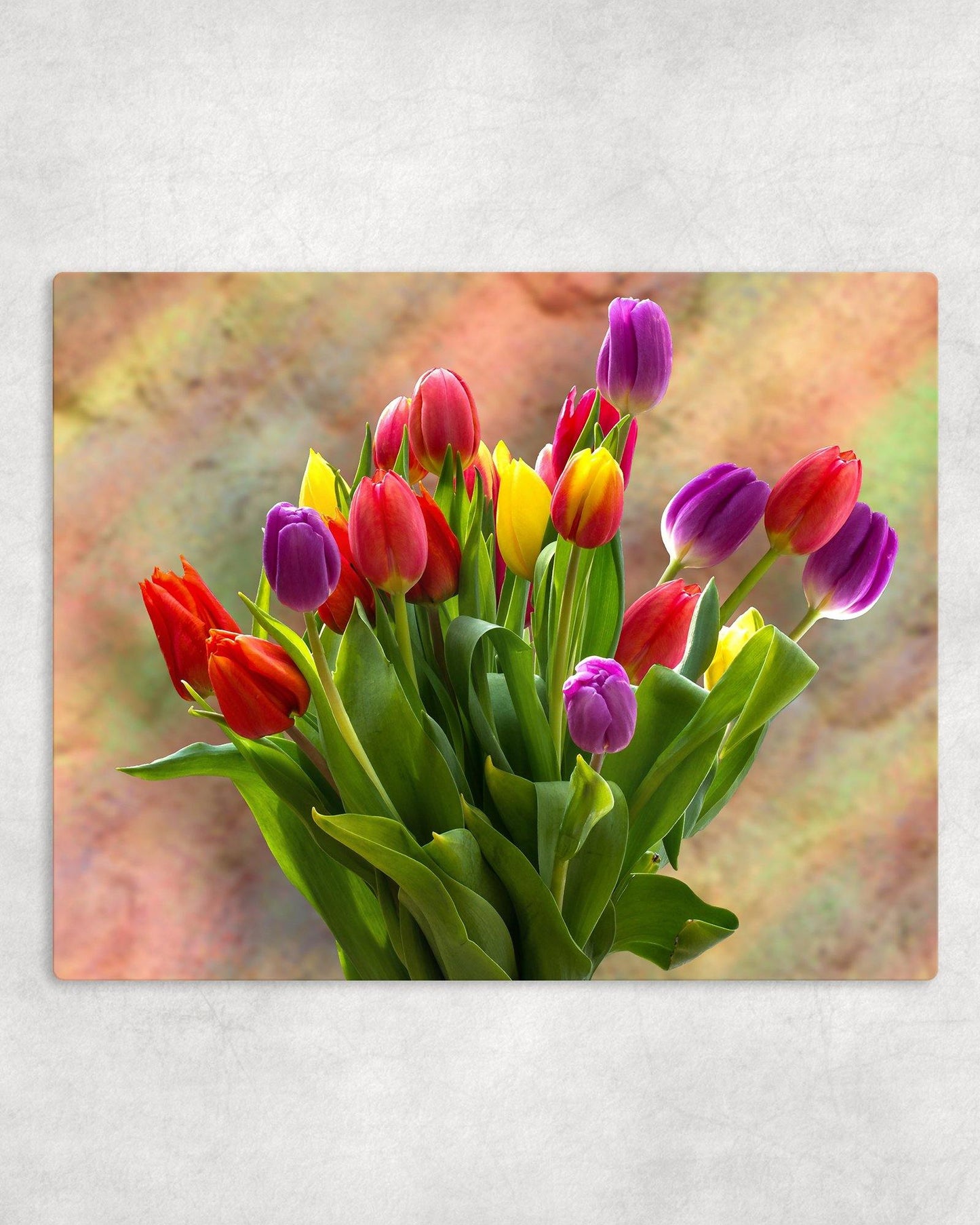 Tulip Bouquet Metal Photo Panel - 8x10 - Schoppix Gifts