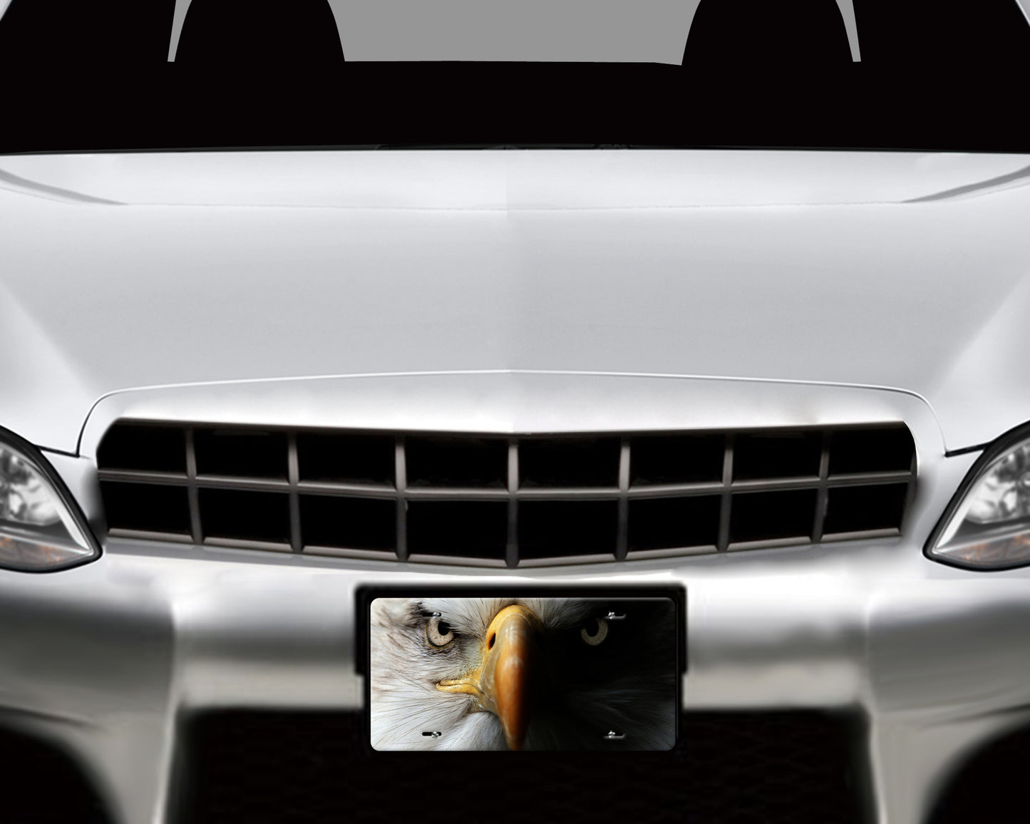 Bald Eagle Face Aluminum License Plate - Schoppix Gifts
