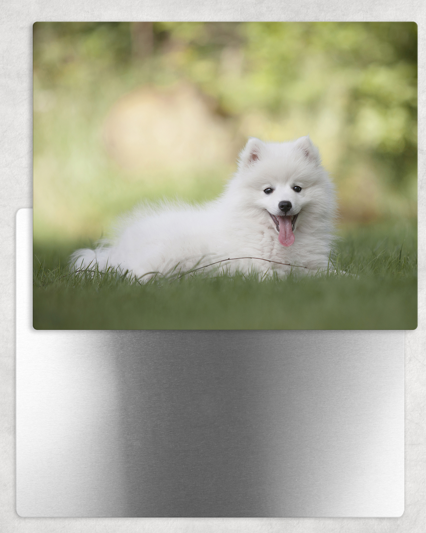 Create Your Own Metal Photo Panel - Landscape 8x10 - Schoppix Gifts