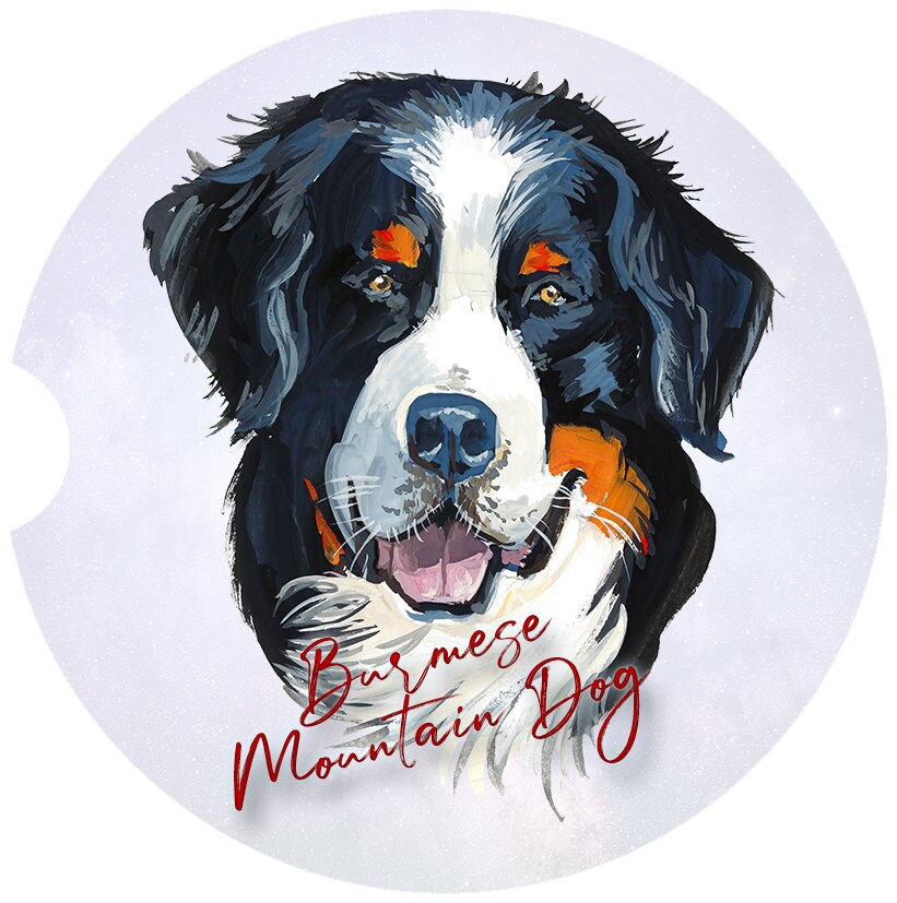 Burmese Mountain Dog Art Car Coasters - Matching Pair - Schoppix Gifts