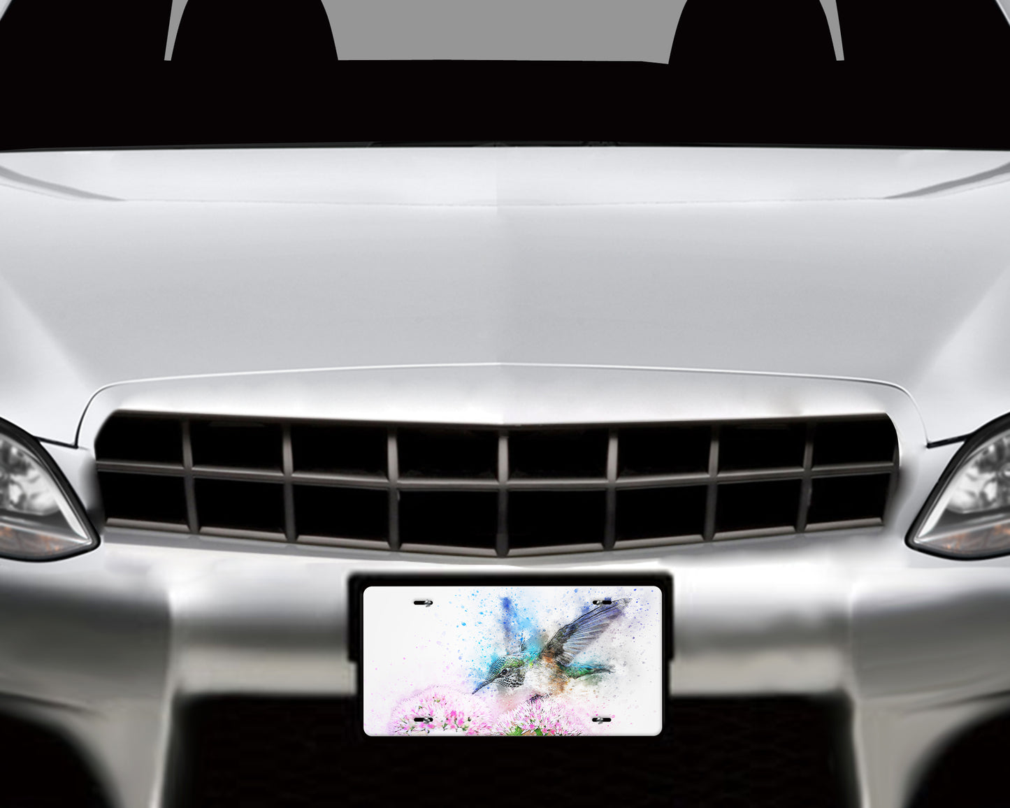 Watercolor style Hummingbird Aluminum License Plate - Schoppix Gifts