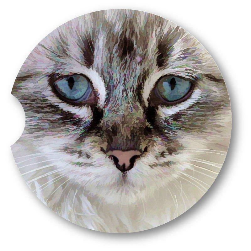 Cat Portrait Close up Sandstone Car Coasters Set of 2 - Schoppix Gifts