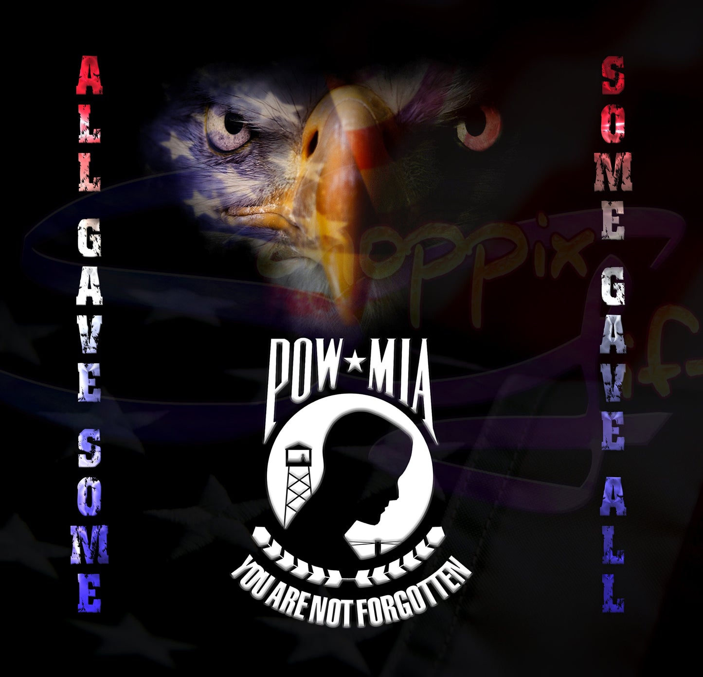 POW MIA Bald Eagle 20oz Skinny Tumbler - Stainless Steel - All Gave Some, Some Gave All