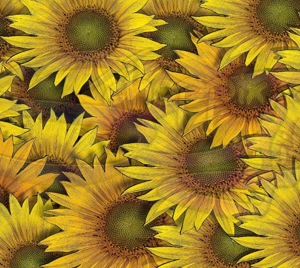 Sunflower Art 20oz Skinny Tumbler - Stainless Steel
