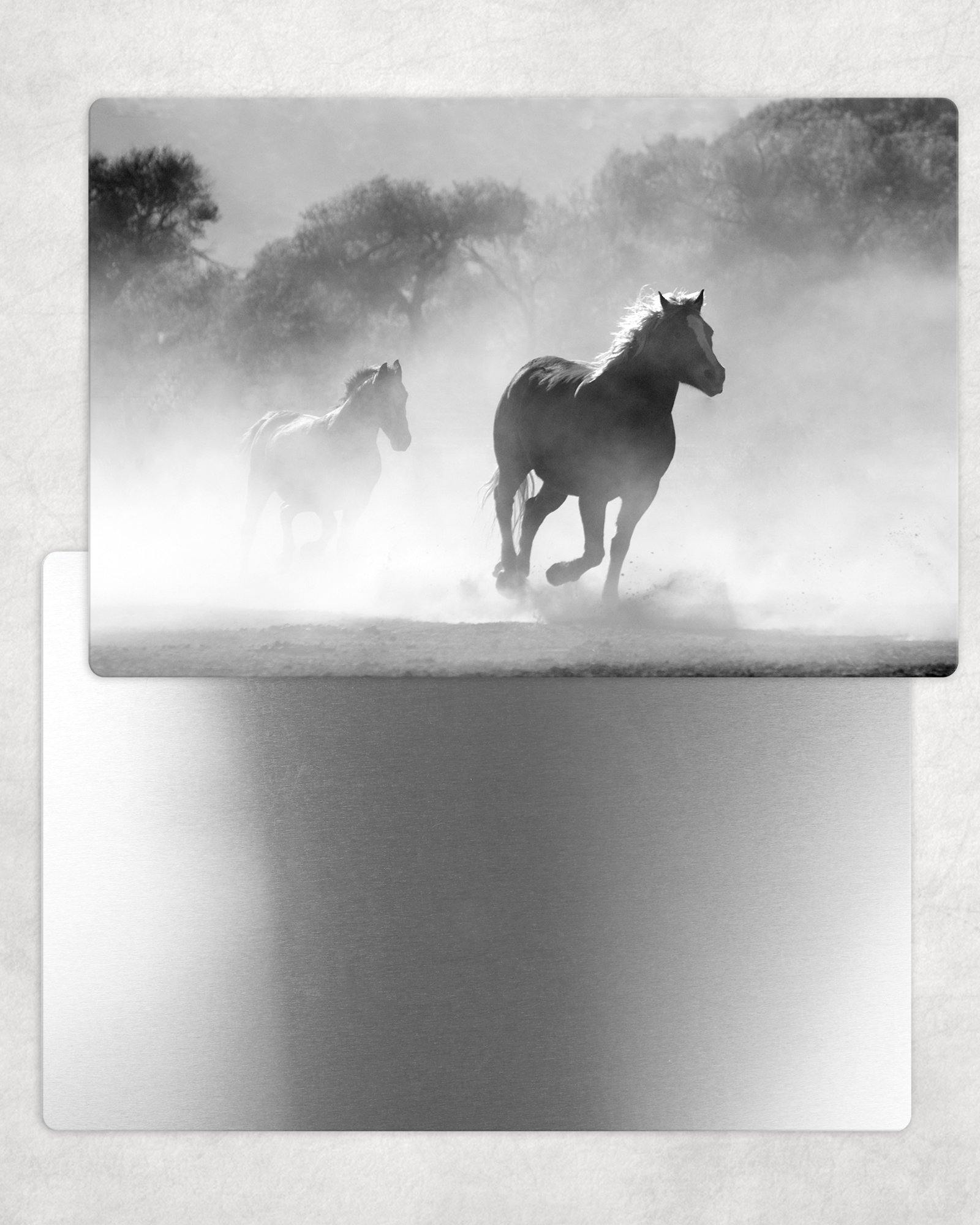 Charging Horses - B&W Metal Photo Panel - 8x12 or 12x18 - Schoppix Gifts