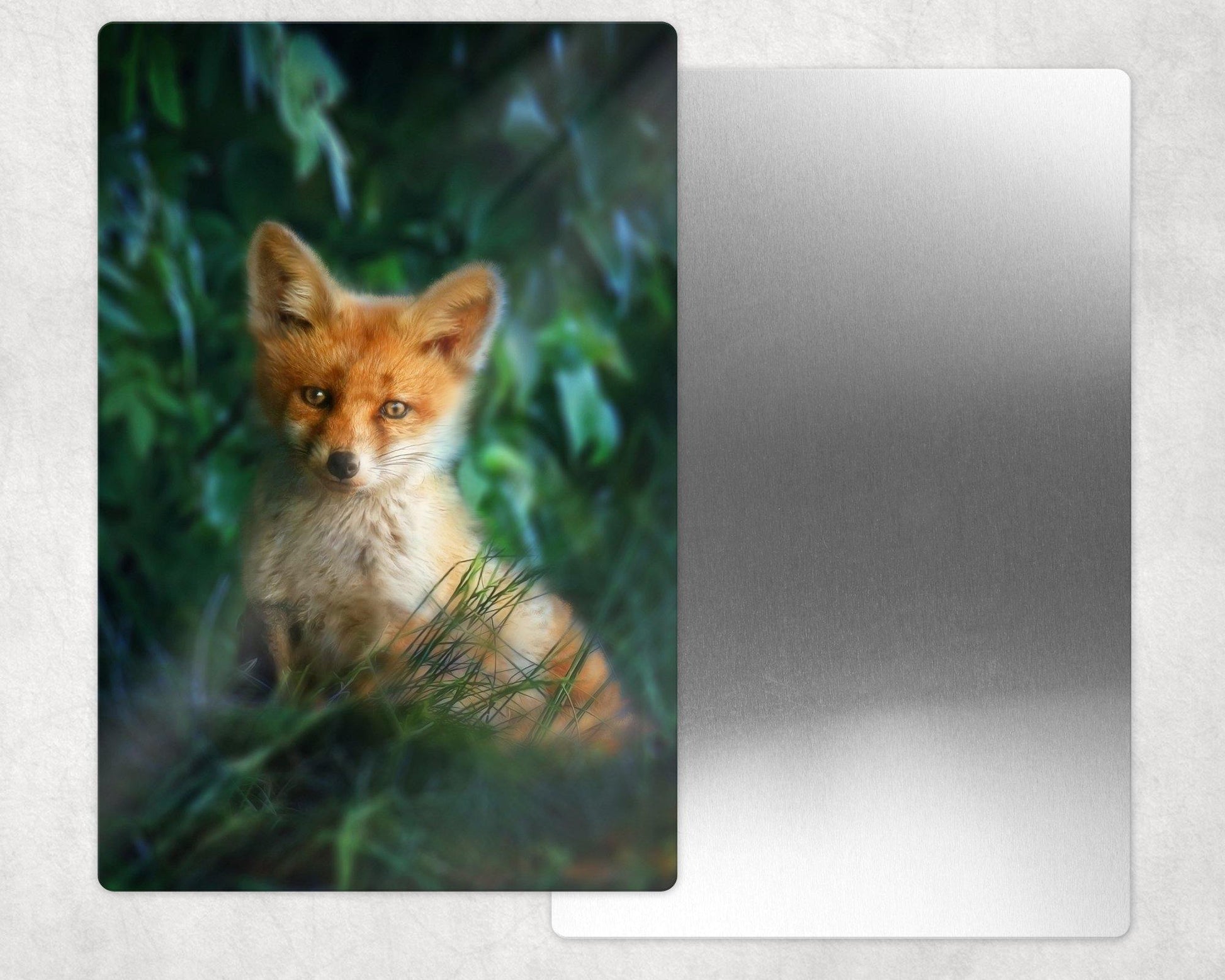 Baby Fox Portrait Metal Photo Panel - 8x12 or 12x18 - Schoppix Gifts