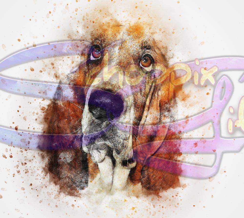 Basset Hound 20oz Stainless Steel Tumbler - Schoppix Gifts