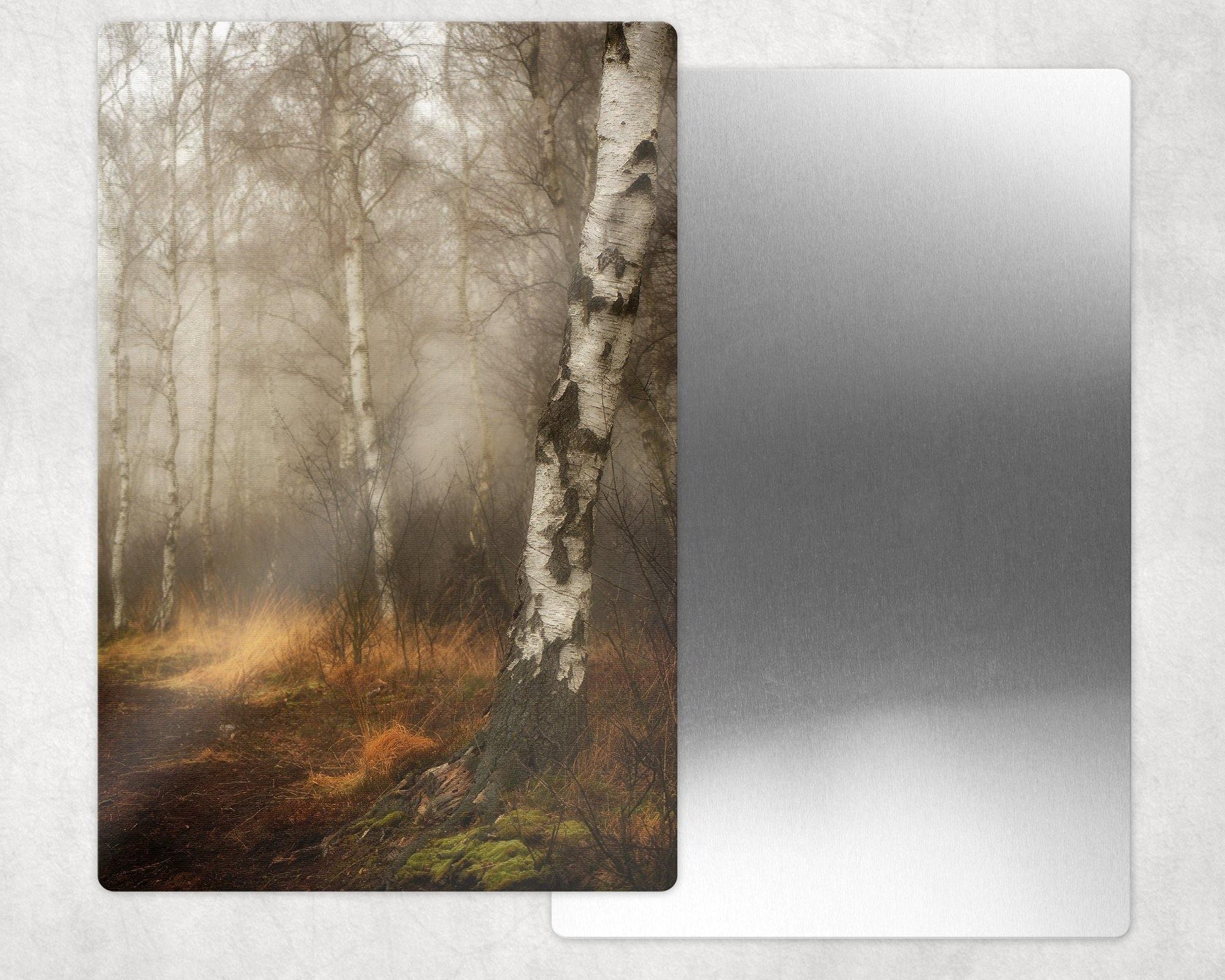 Trees in the Mist Metal Photo Panel - 8x12 or 12x18 - Schoppix Gifts