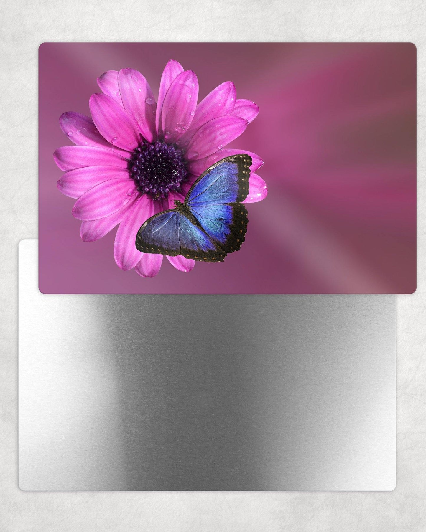 Blue Butterfly on Pink Flower Metal Photo Panel - 8x12 or 12x18 - Schoppix Gifts