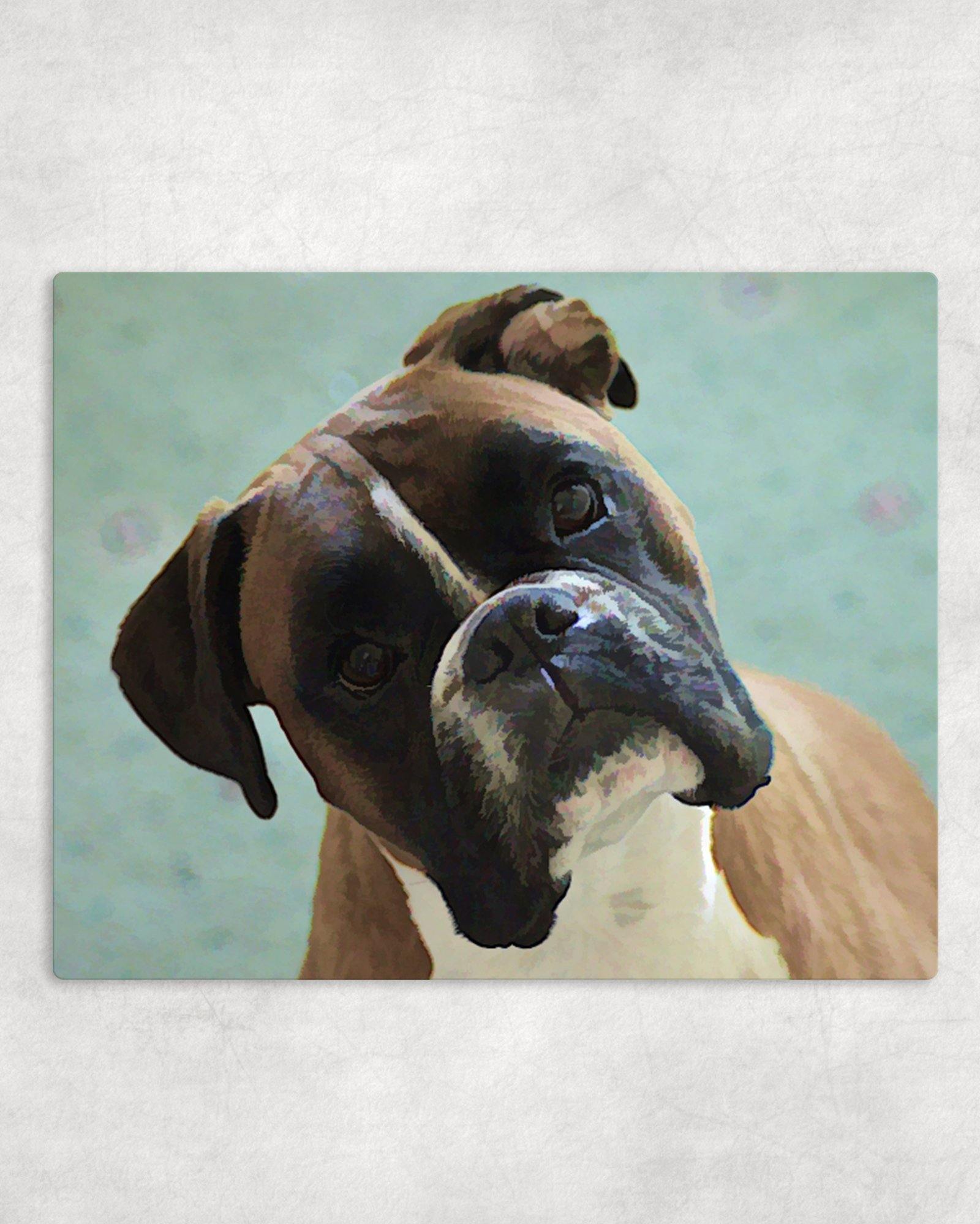 Boxer Metal Photo Panel - 8x10 - Schoppix Gifts