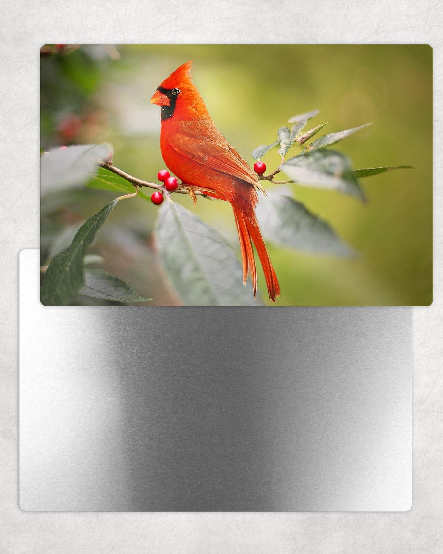 Beautiful Red Cardinal Metal Photo Panel - 8x12 or 12x18 - Schoppix Gifts