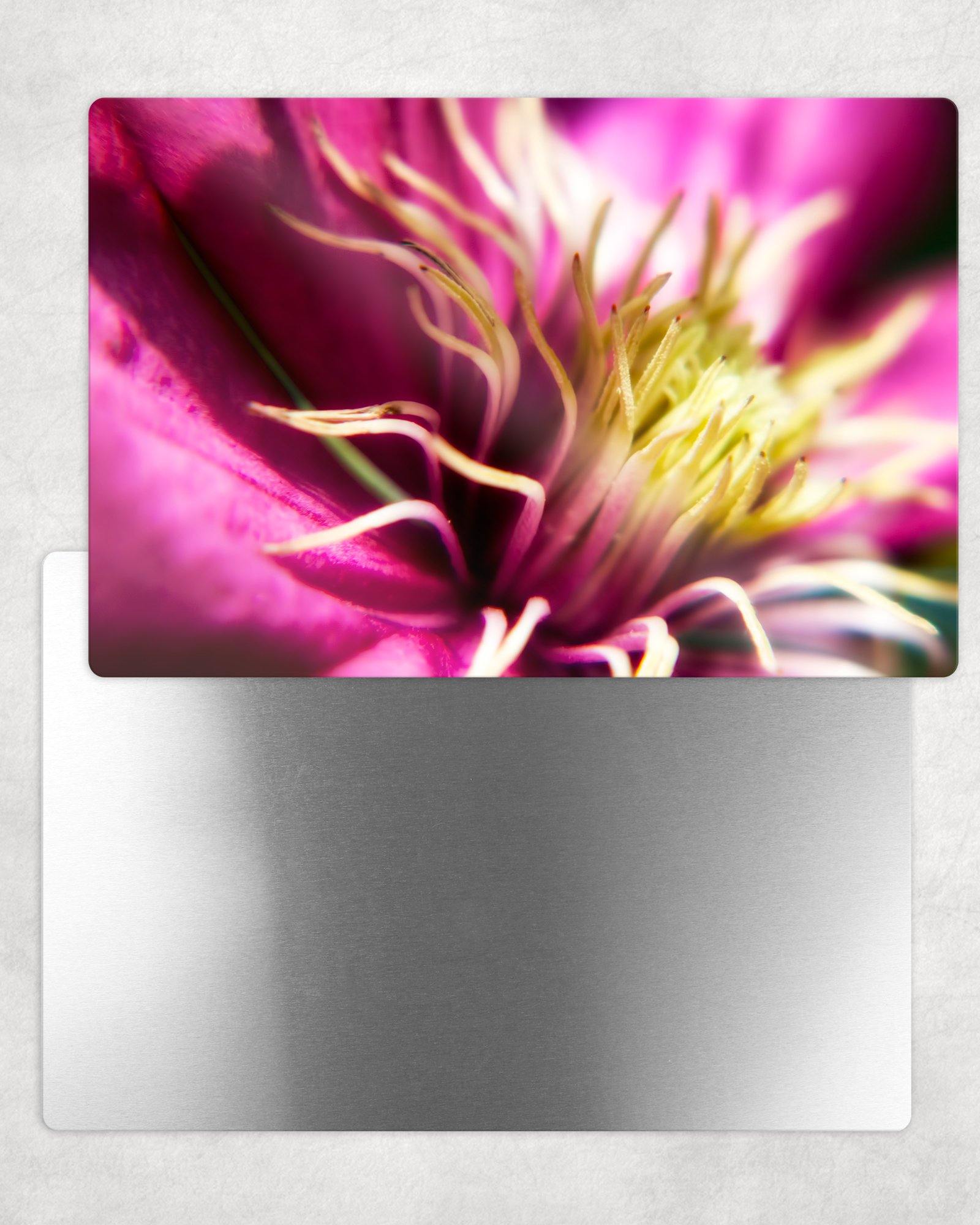 Purple Clematis Metal Photo Panel - 8x12 or 12x18 - Schoppix Gifts