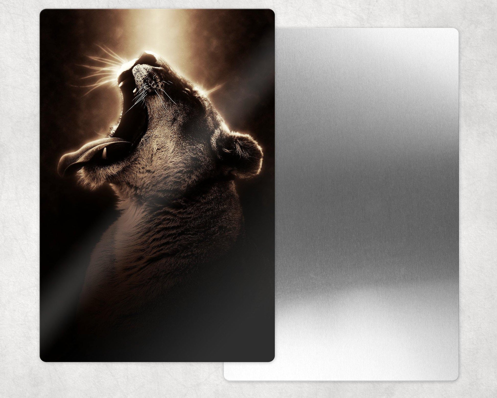 Roaring Lioness Metal Photo Panel - 8x12 or 12x18 - Schoppix Gifts