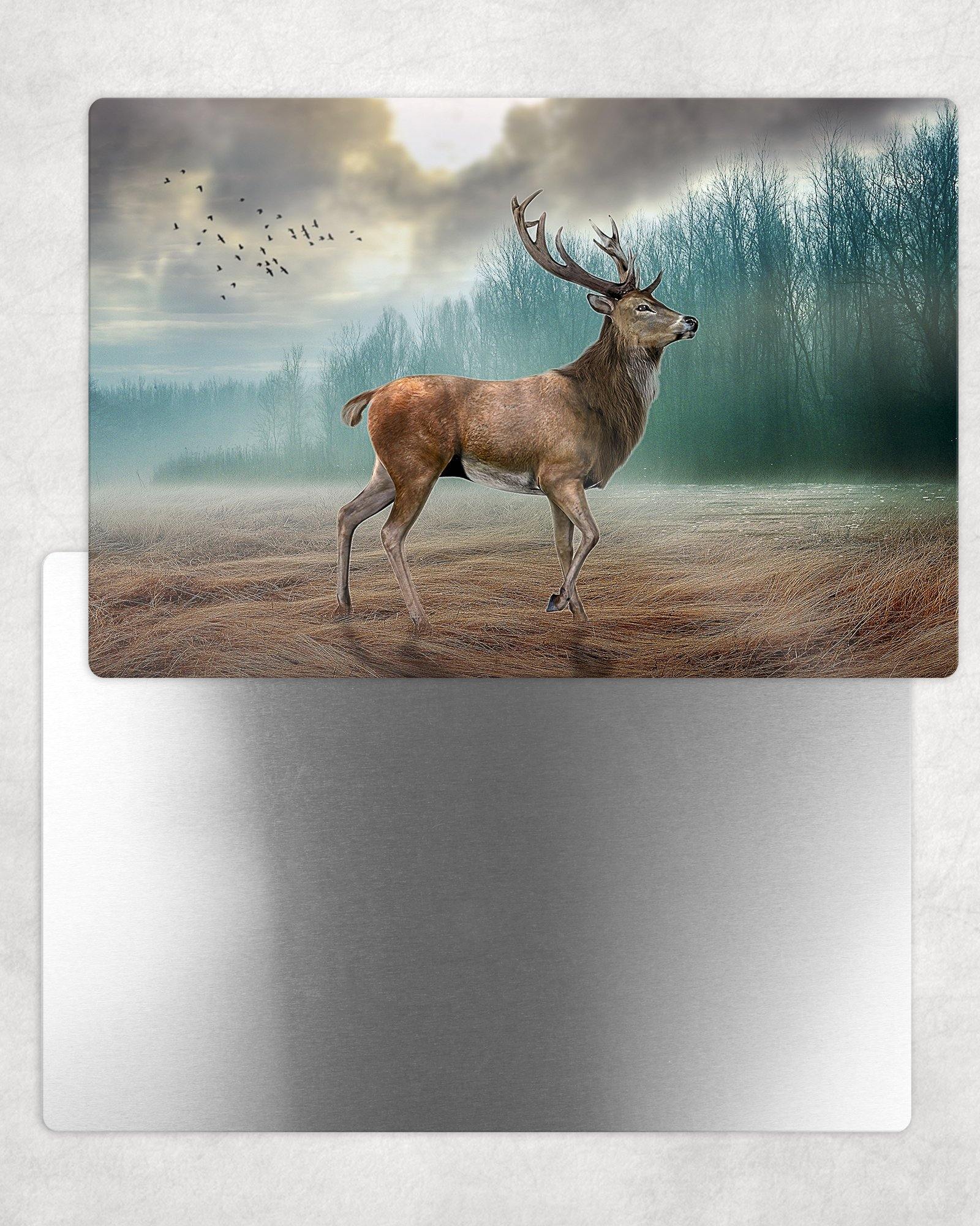 Deer in Meadow Metal Photo Panel - 8x12 or 12x18 - Schoppix Gifts