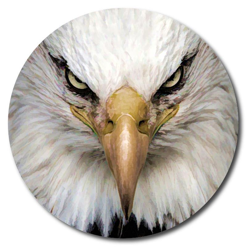 Eagle Portrait Art Drink Coasters - Schoppix Gifts
