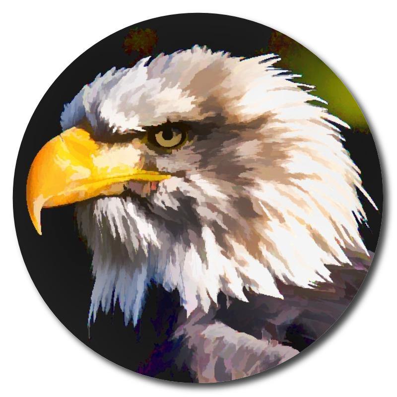 Eagle Portrait Art Drink Coasters Design 2 - Schoppix Gifts
