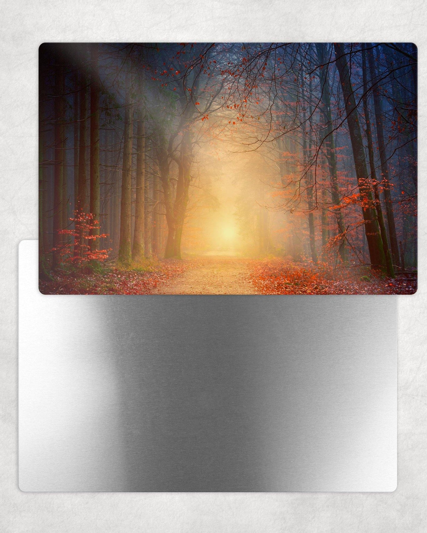 Sunrays through the Forest Mist Metal Photo Panel - 8x12 or 12x18 - Schoppix Gifts