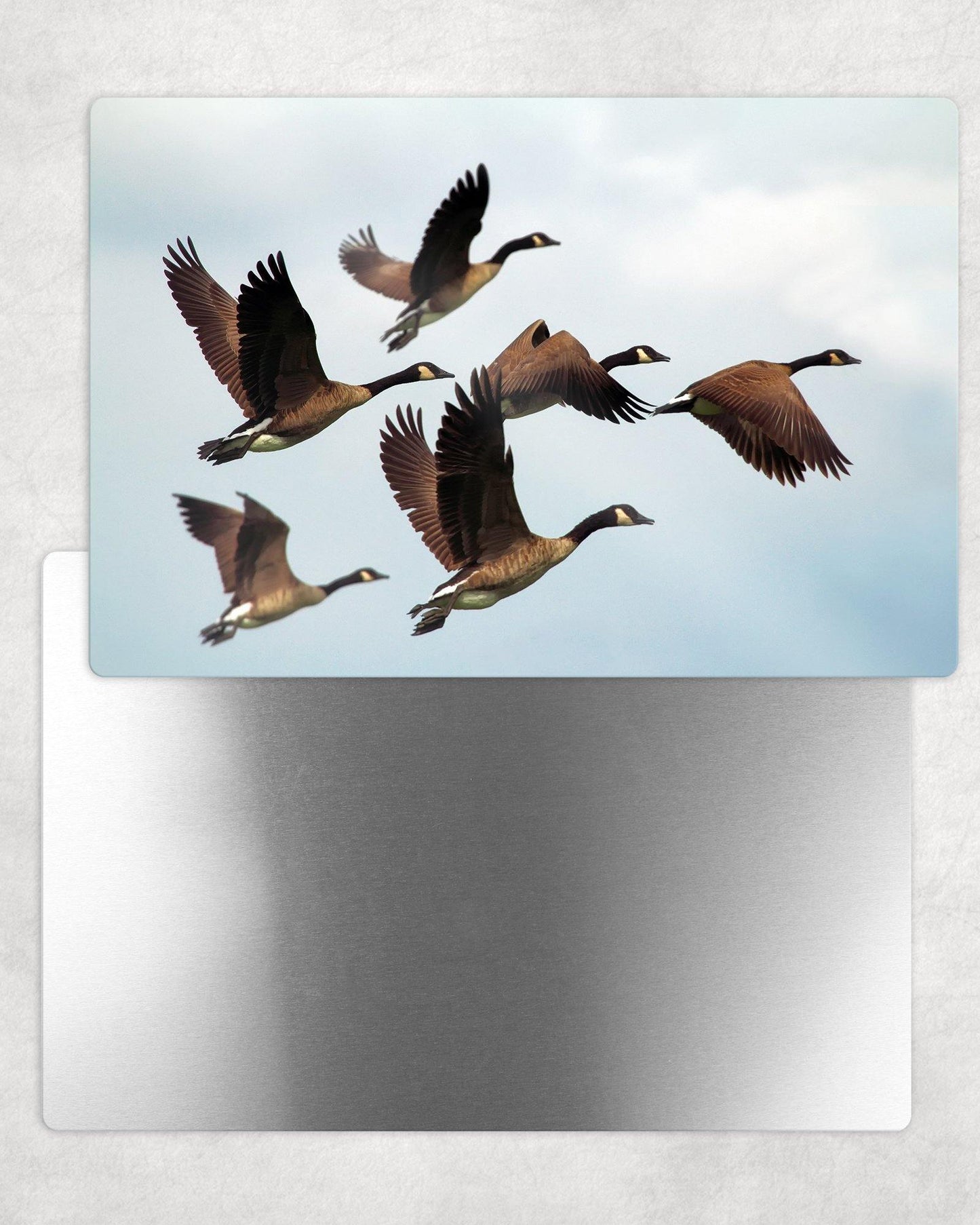 Flying Geese Metal Photo Panel - 8x12 or 12x18 - Schoppix Gifts