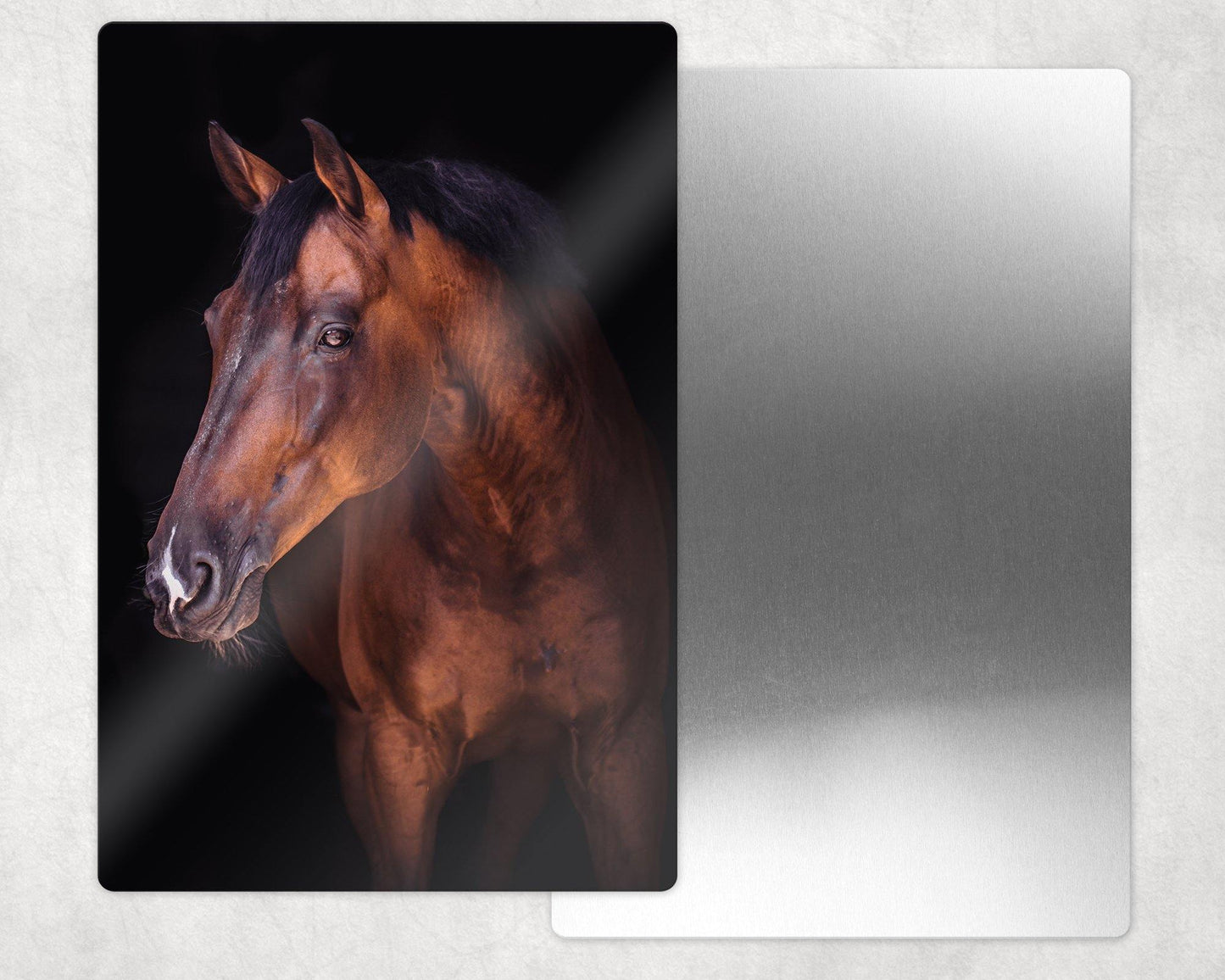 Horse Portrait Metal Photo Panel - 8x12 or 12x18 - Schoppix Gifts
