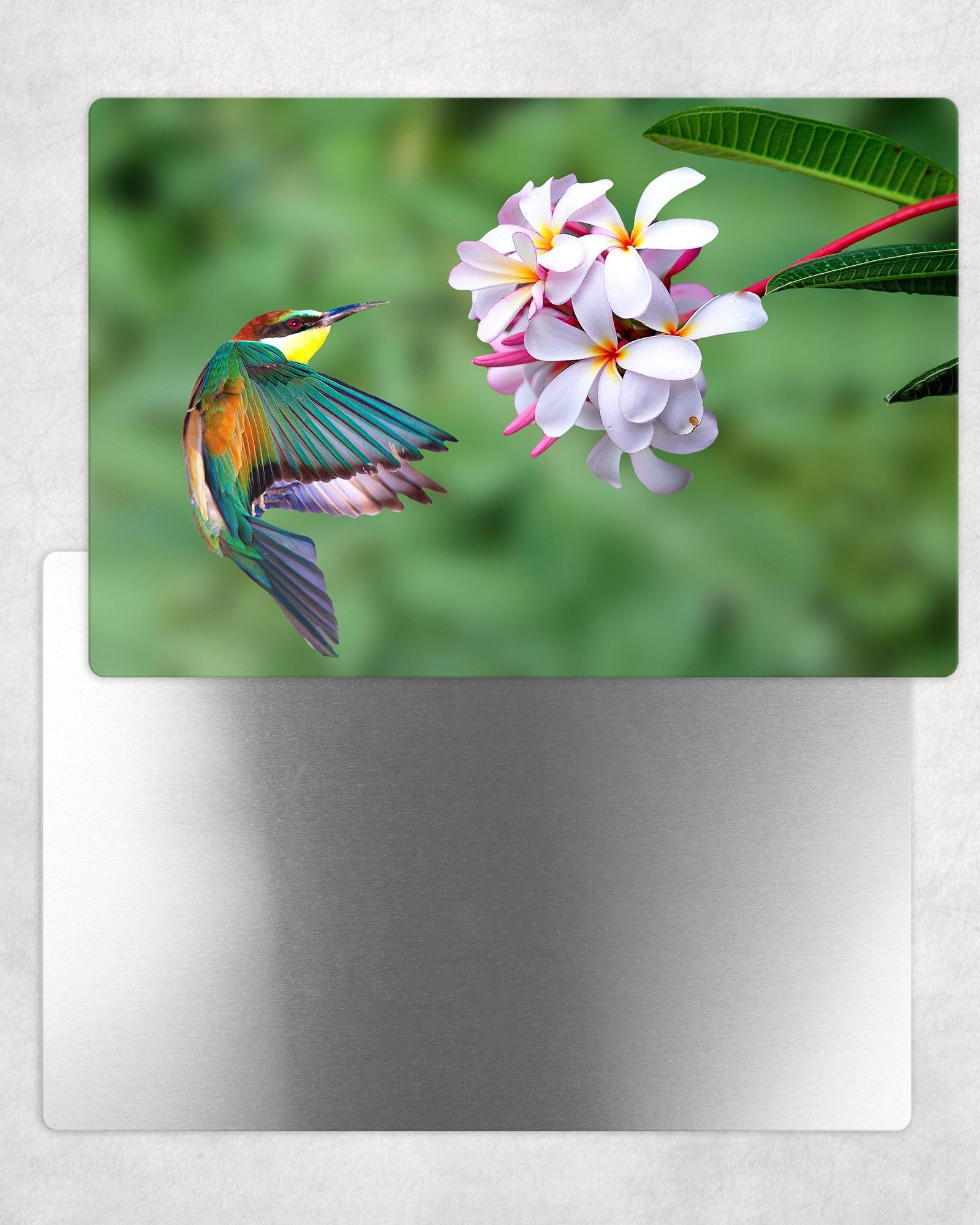 Fluttering Hummingbird Metal Photo Panel - 8x12 or 12x18 - Schoppix Gifts