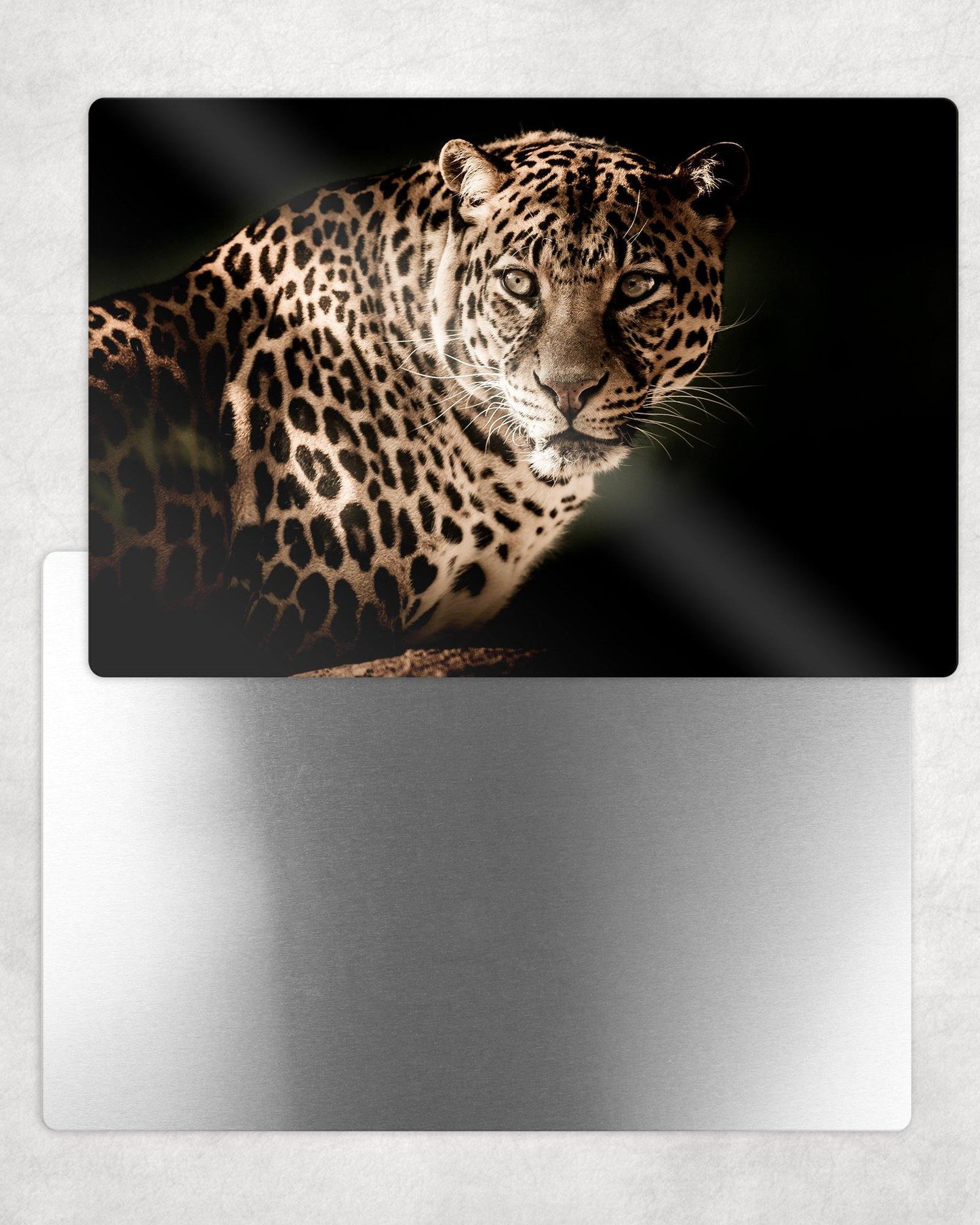 Leopard Portrait Metal Photo Panel - 8x12 or 12x18 - Schoppix Gifts