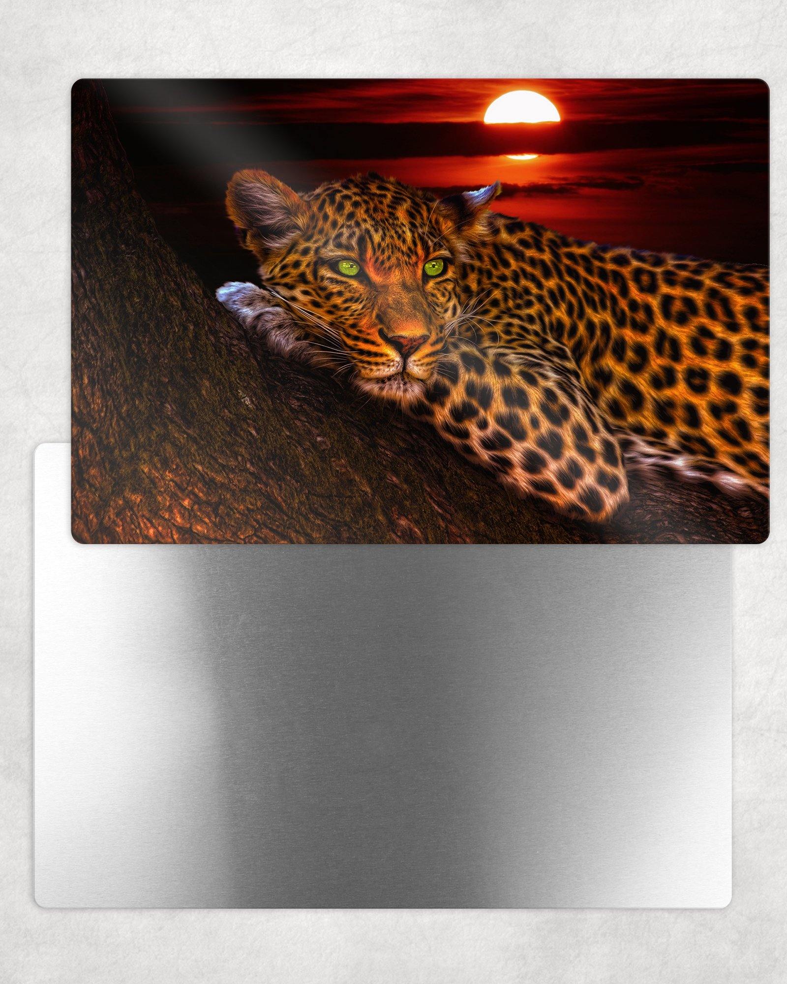 Leopard at Sunset Metal Photo Panel - 8x12 or 12x18 - Schoppix Gifts