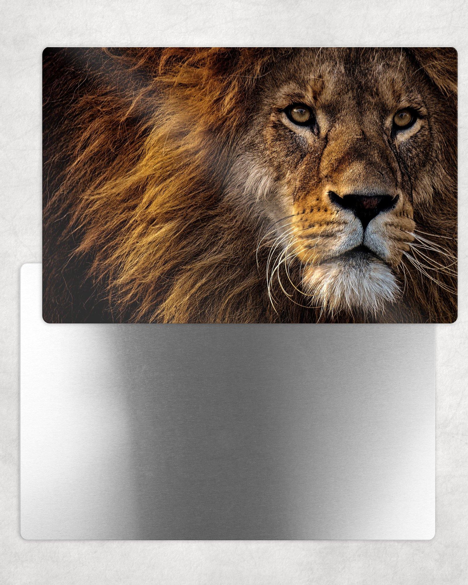 Lion Portait Metal Photo Panel - 8x12 or 12x18 - Schoppix Gifts
