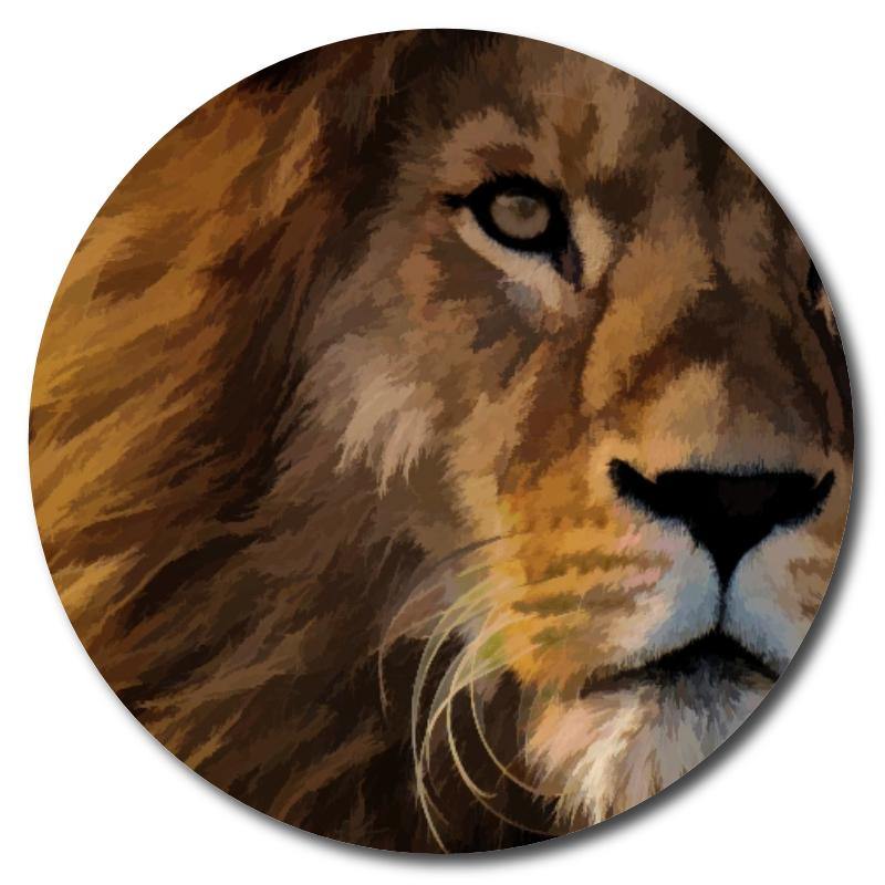 Lion Portrait Art Drink Coasters - Schoppix Gifts