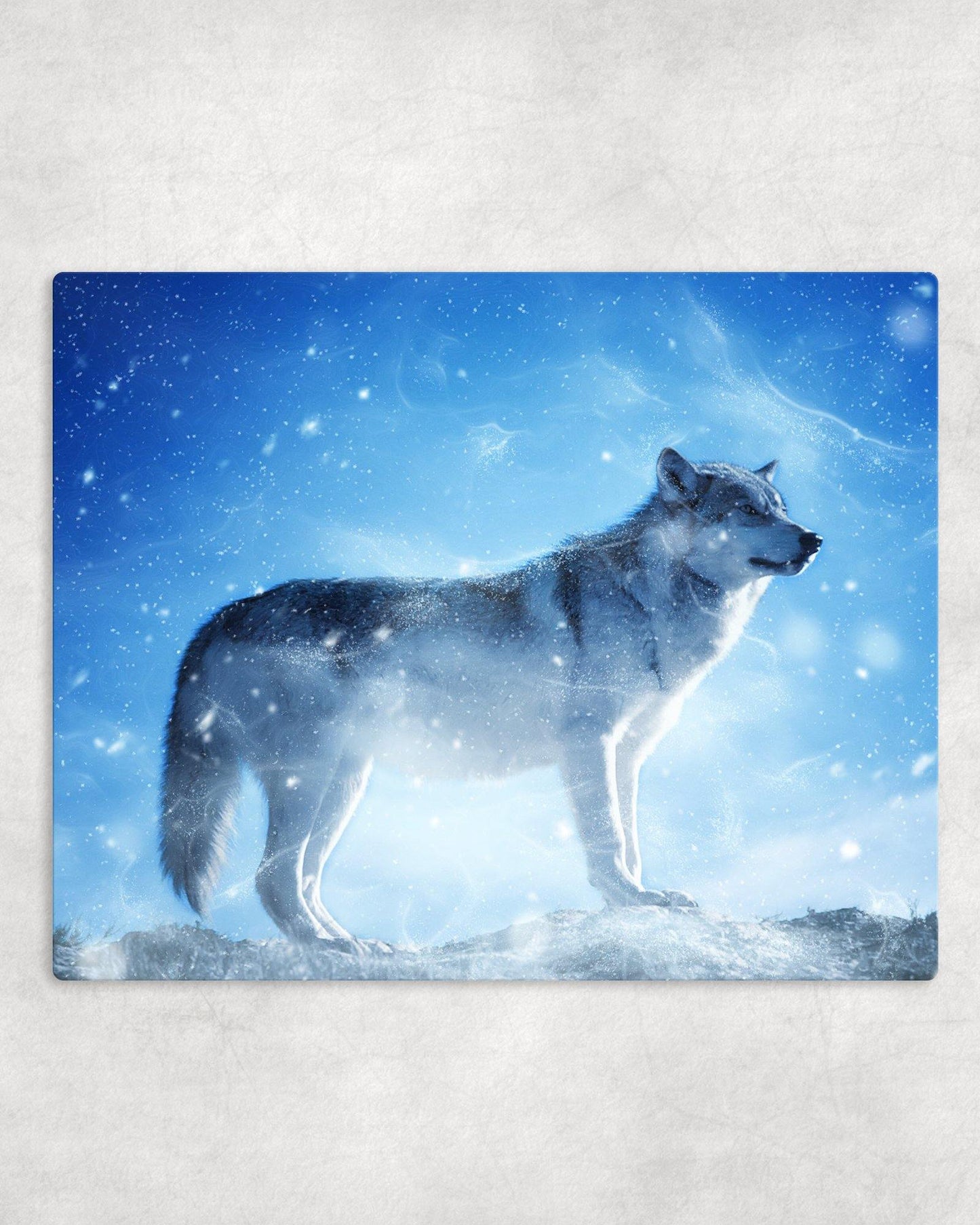 Lone Winter Wolf Metal Photo Panel - 8x10 - Schoppix Gifts