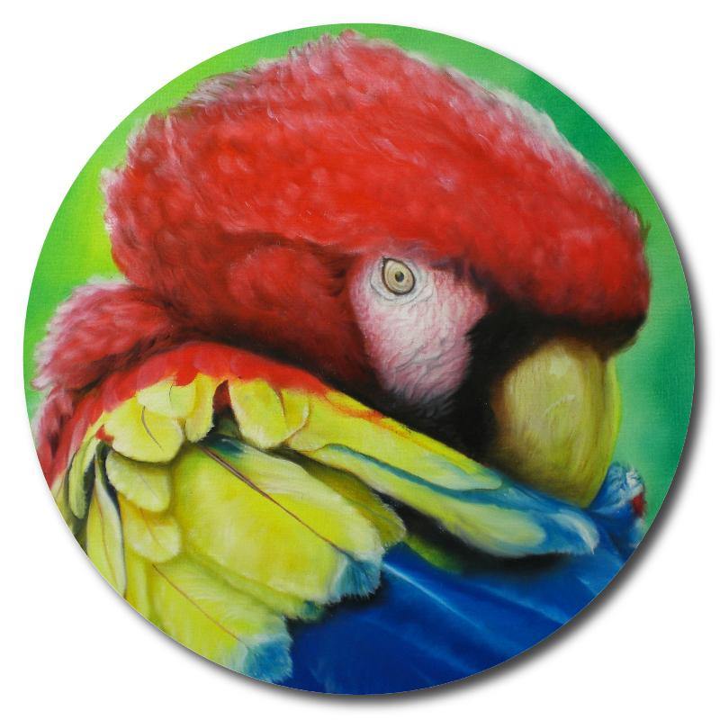 Beautiful Macaw Portrait Art Drink Coasters - Schoppix Gifts