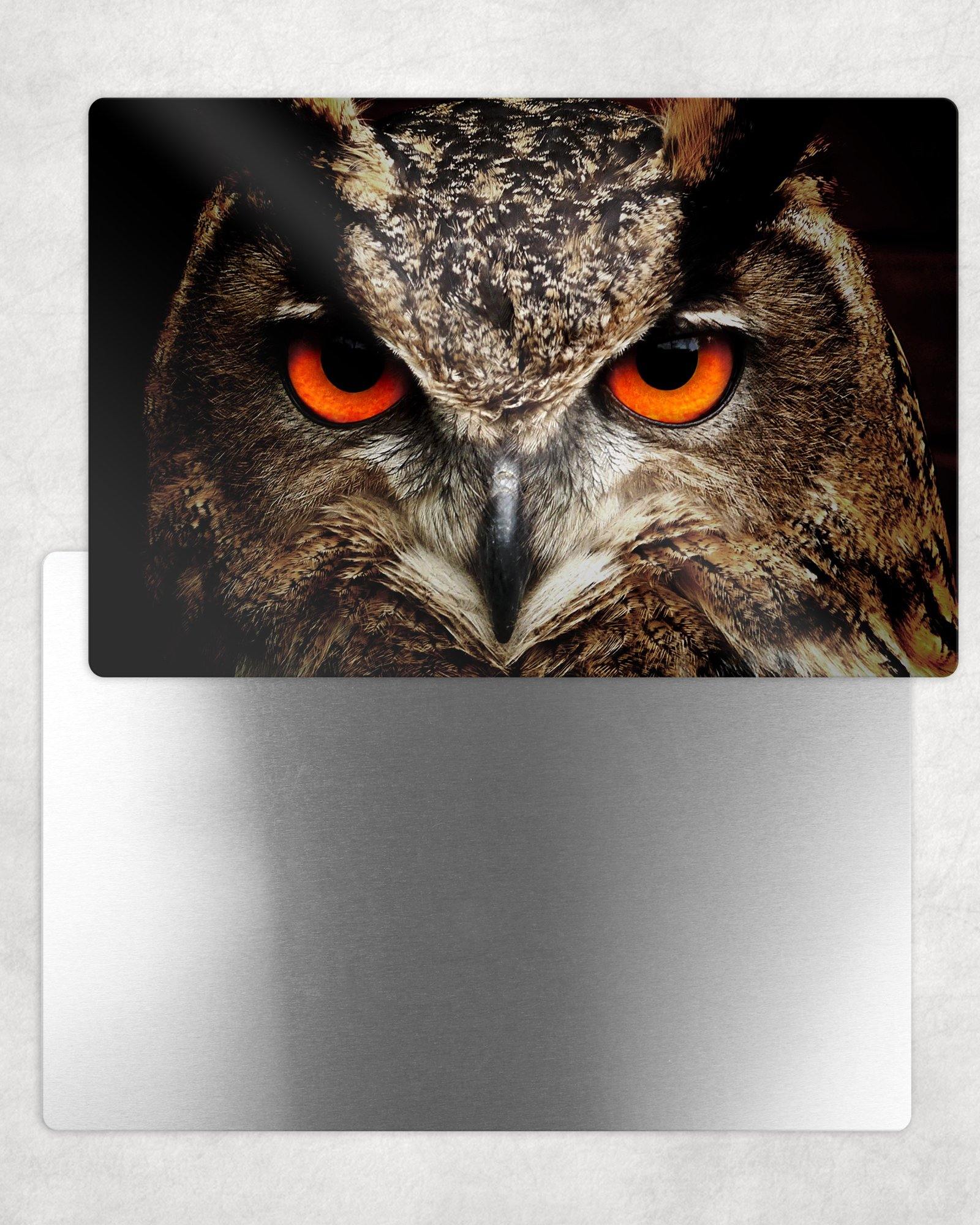 Owl Portrait Metal Photo Panel - 8x12 or 12x18 - Schoppix Gifts