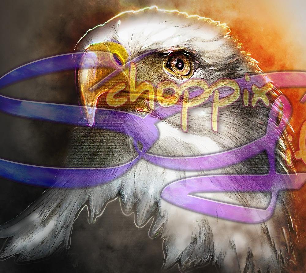 Bald Eagle Art 20oz Stainless Steel Tumbler - Schoppix Gifts