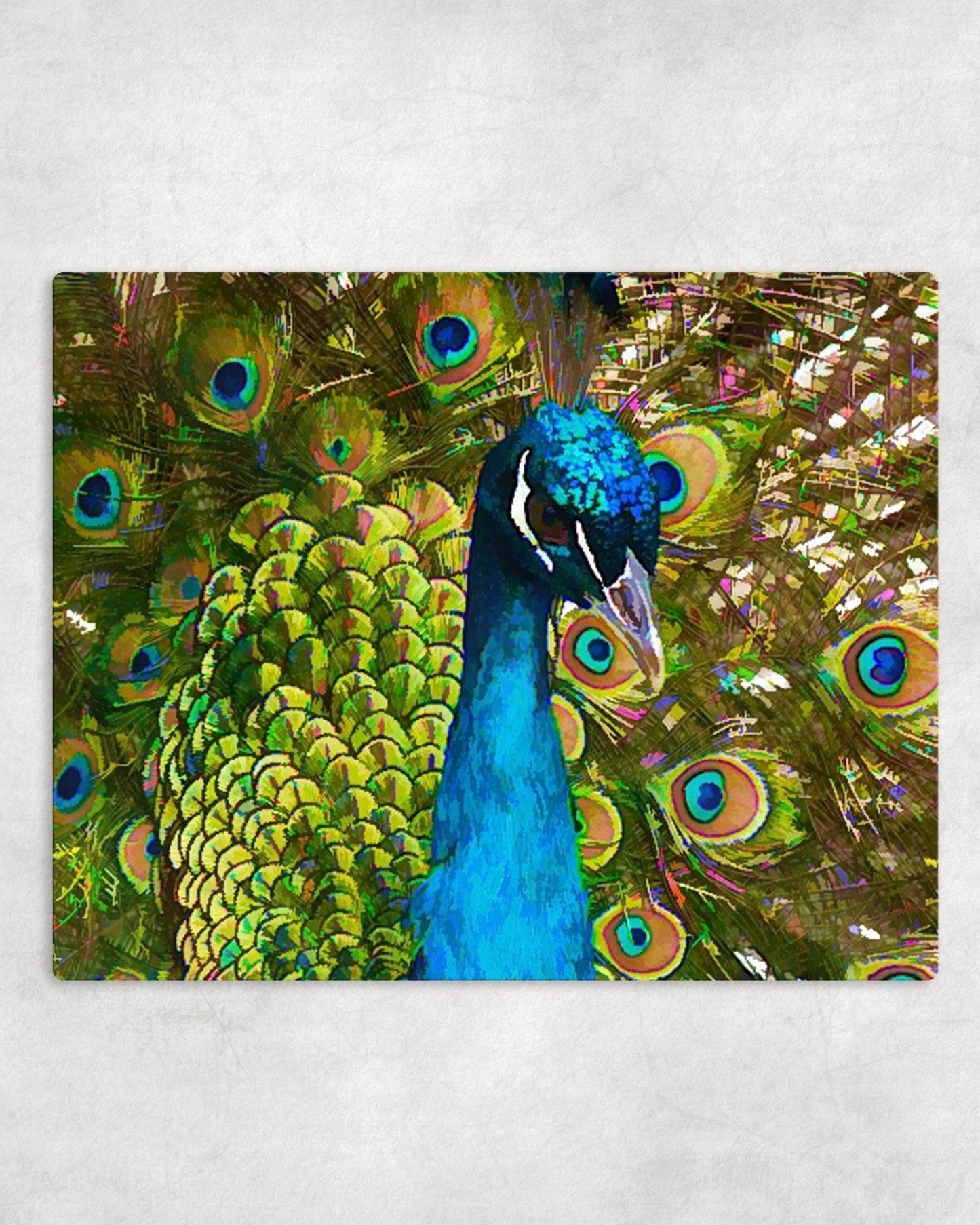 Beautiful Peacock Metal Photo Panel - 8x10 - Schoppix Gifts