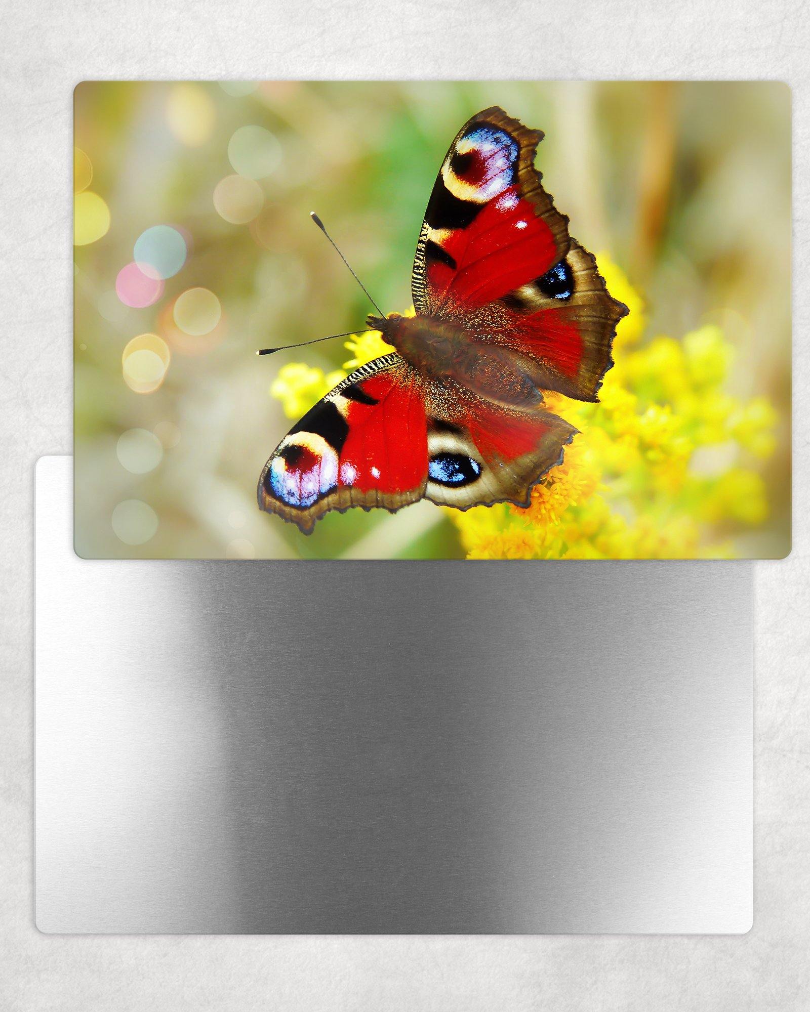 Peacock Butterfly Metal Photo Panel - 8x12 or 12x18 - Schoppix Gifts