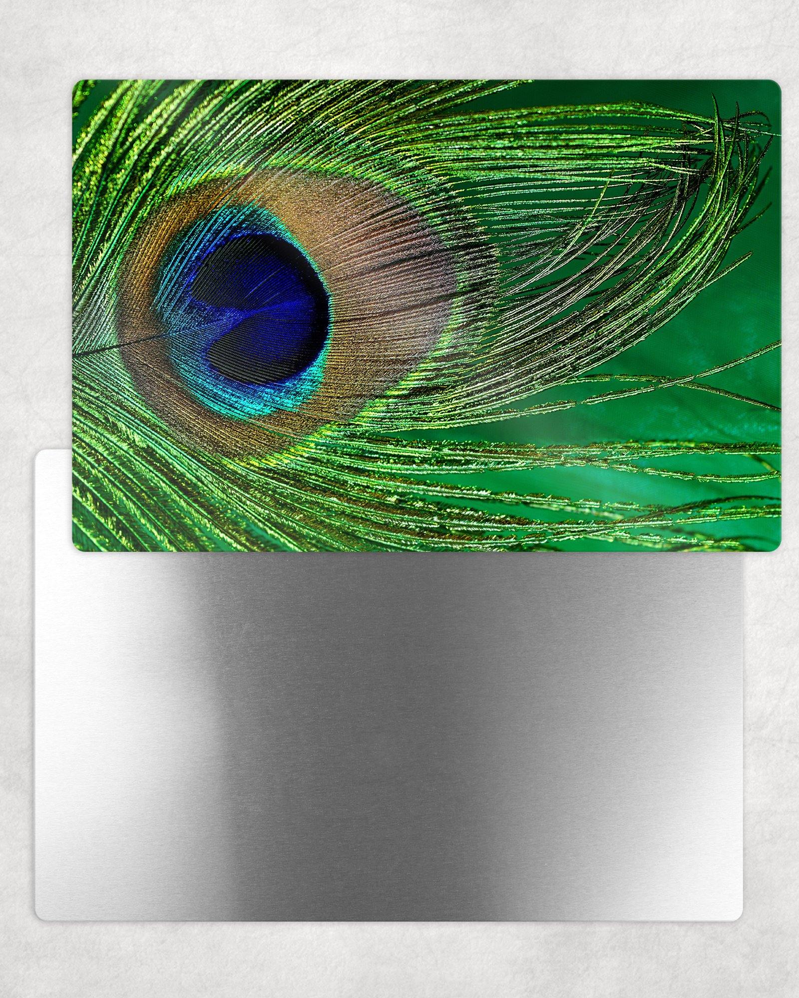 Peacock Feather Metal Photo Panel - 8x12 or 12x18 - Schoppix Gifts