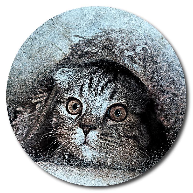 Cute Peeking Kitten Art Drink Coasters - Schoppix Gifts