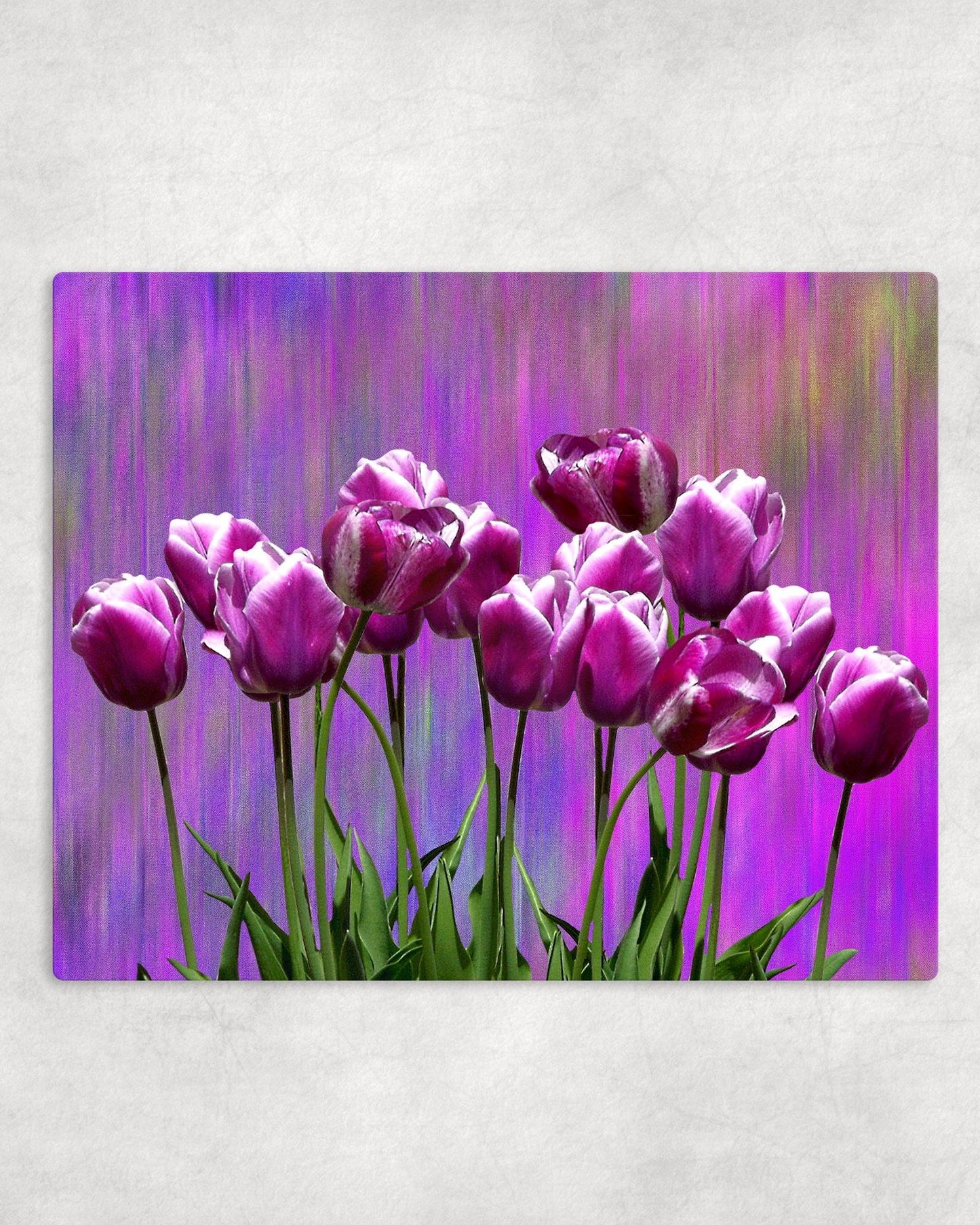 Purple Tulips Metal Photo Panel - 8x10 - Schoppix Gifts