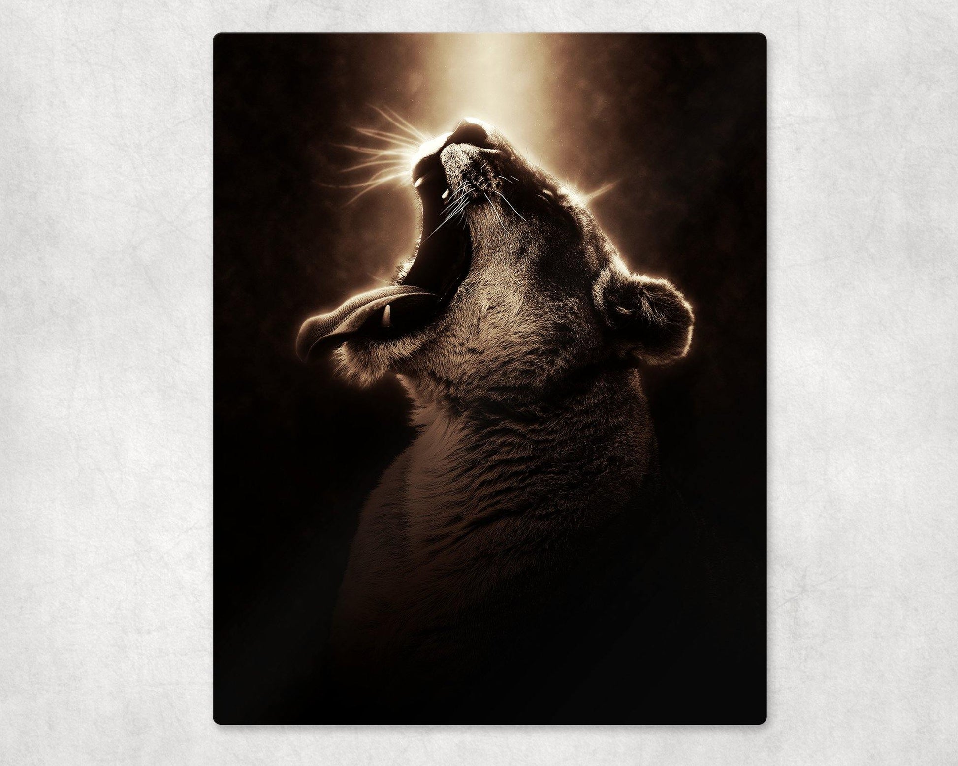 Roaring Lioness Metal Photo Panel - 8x10 - Schoppix Gifts