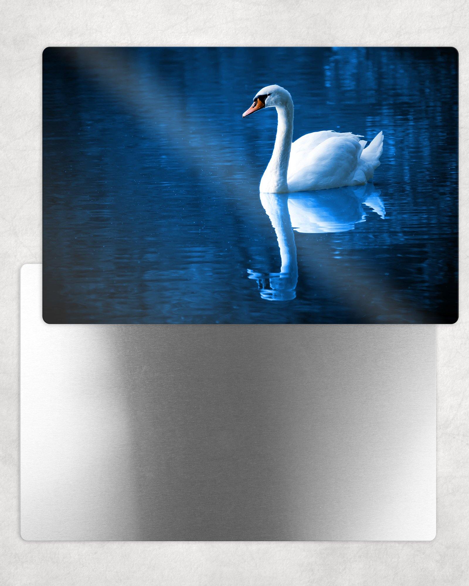 Swan by Moonlight Metal Photo Panel - 8x12 or 12x18 - Schoppix Gifts