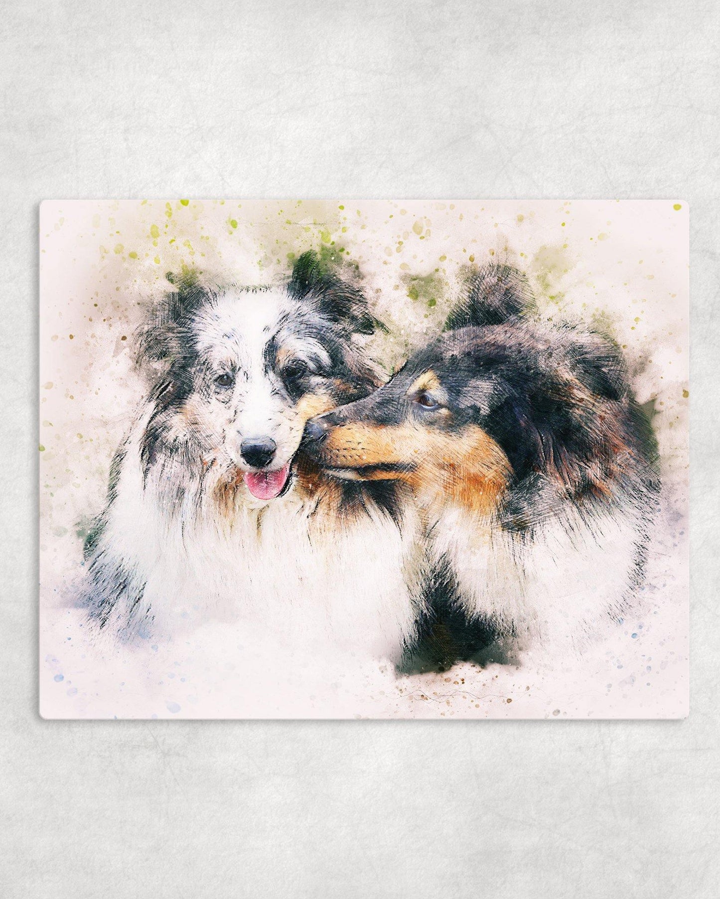Watercolor Style Collies Metal Photo Panel - 8x10 - Schoppix Gifts