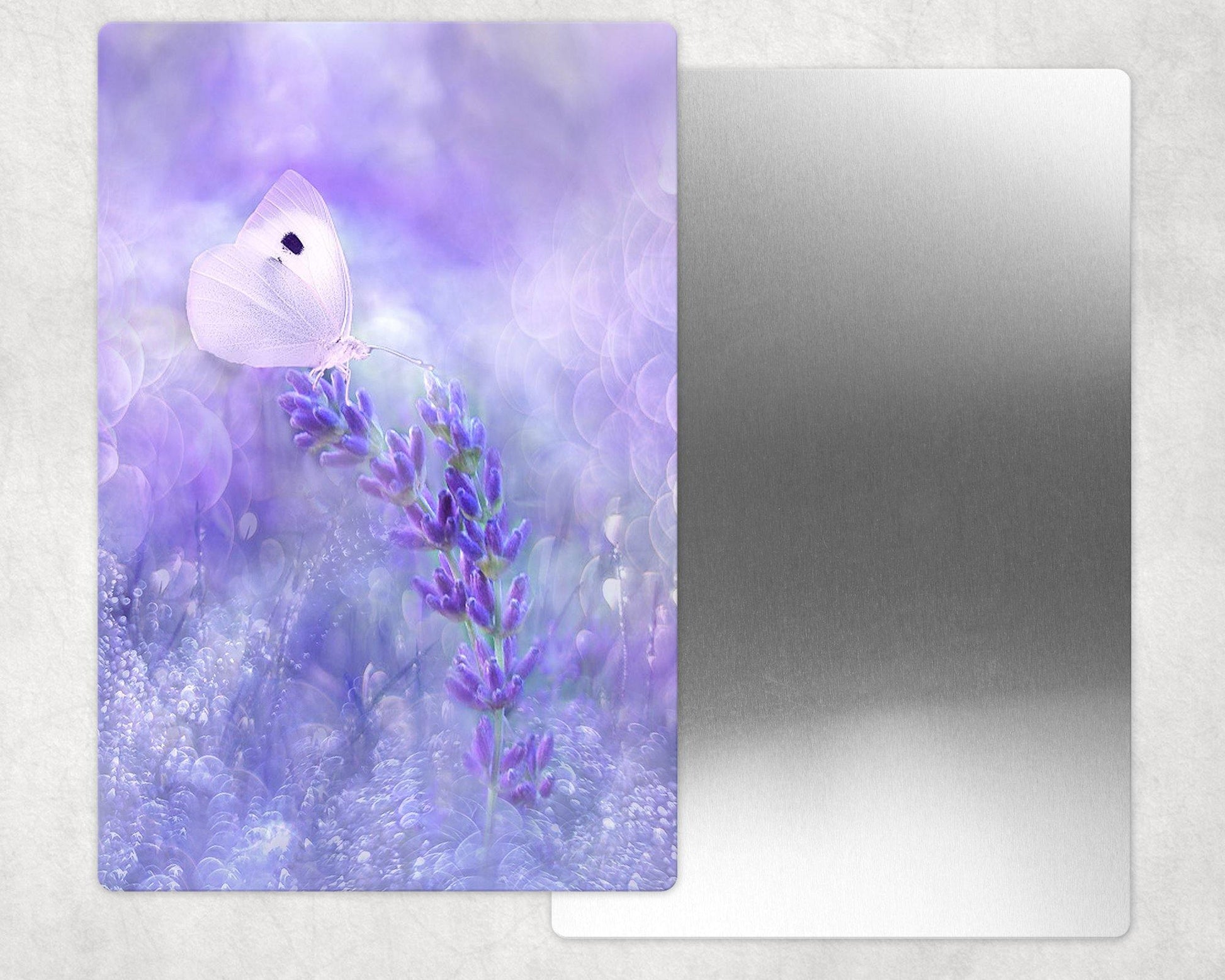White Butterfly on Purple Flowers Metal Photo Panel - 8x12 or 12x18 - Schoppix Gifts
