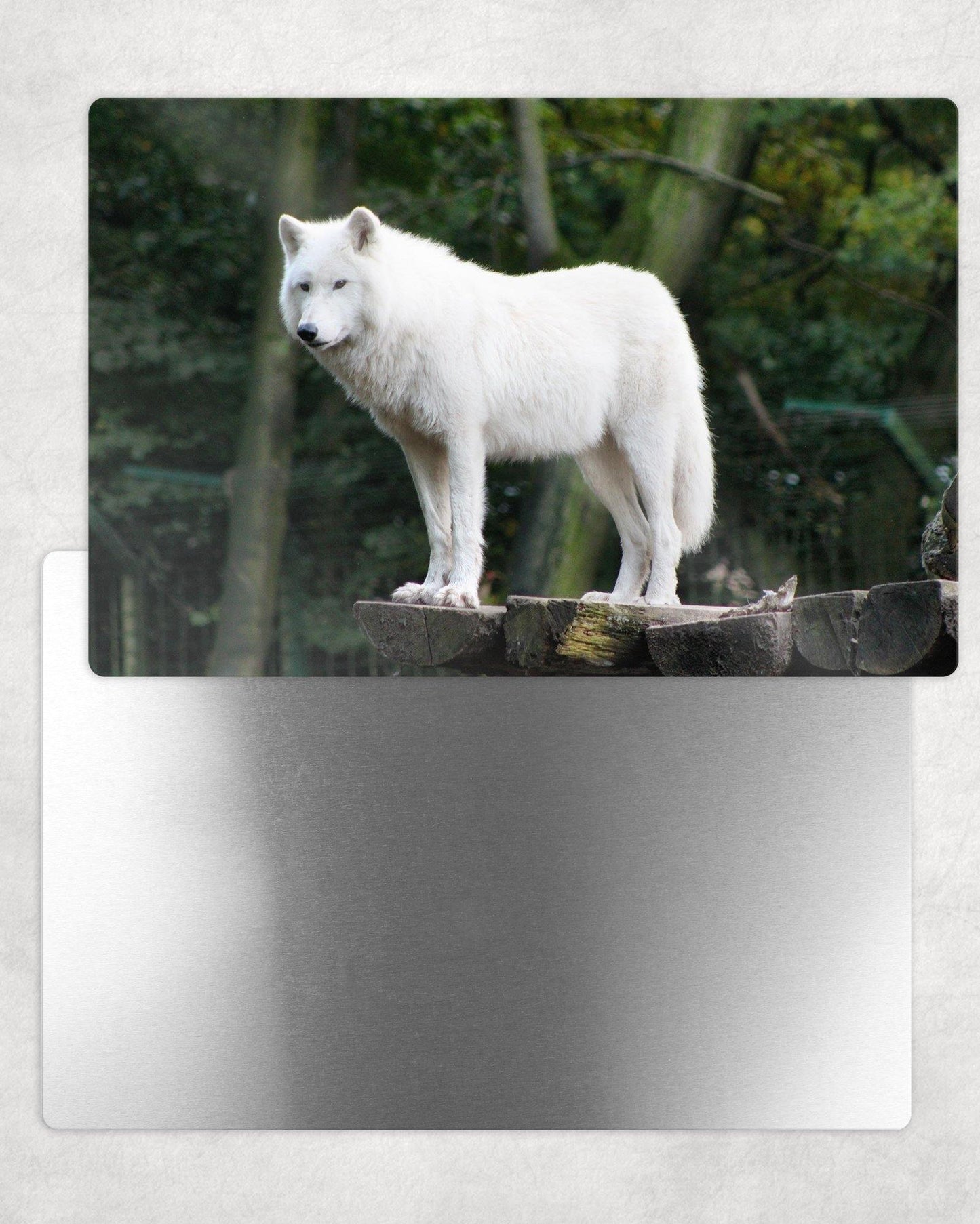 White Wolf Metal Photo Panel - 8x12 or 12x18 - Schoppix Gifts