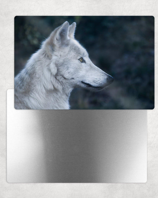 White Wolf Portrait Metal Photo Panel - 8x12 or 12x18 - Schoppix Gifts