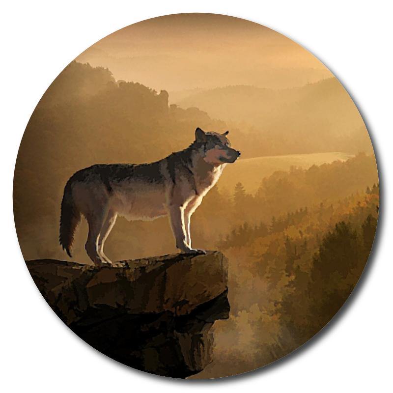 Scenic Overlook/Lone Wolf Art Drink Coasters - Schoppix Gifts